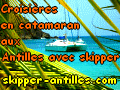 croisiere aux Grenadines en catamaran avec skipper, location catamaran avec equipage aux antilles