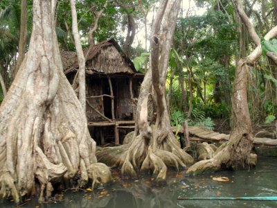 croisière à la Dominique rivière indienne