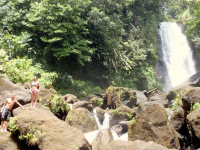 dominique trafalgar falls