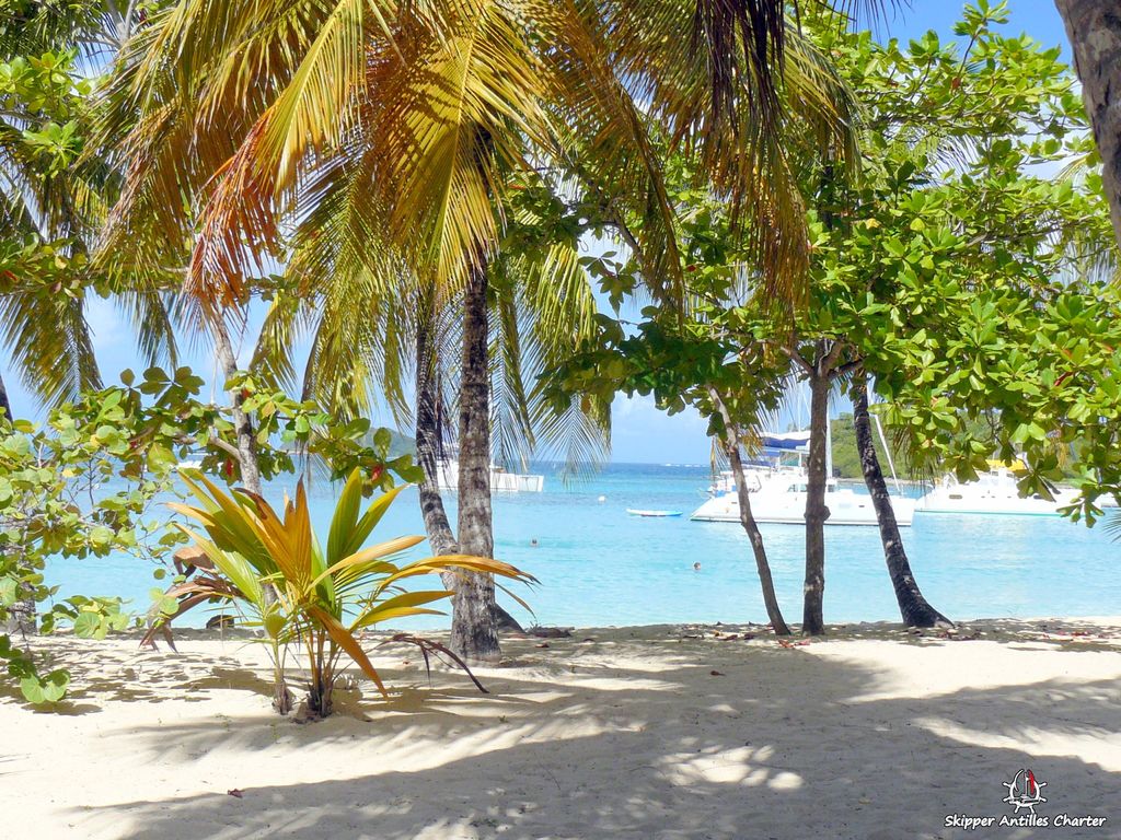 Location Catamaran Grenadines Mayreau