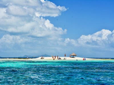 croisière aux Grenadines à Morpion