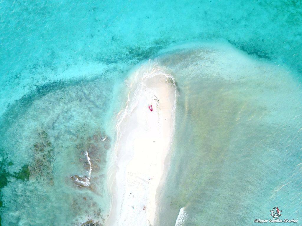 Croisière Grenadines Tobago Cays