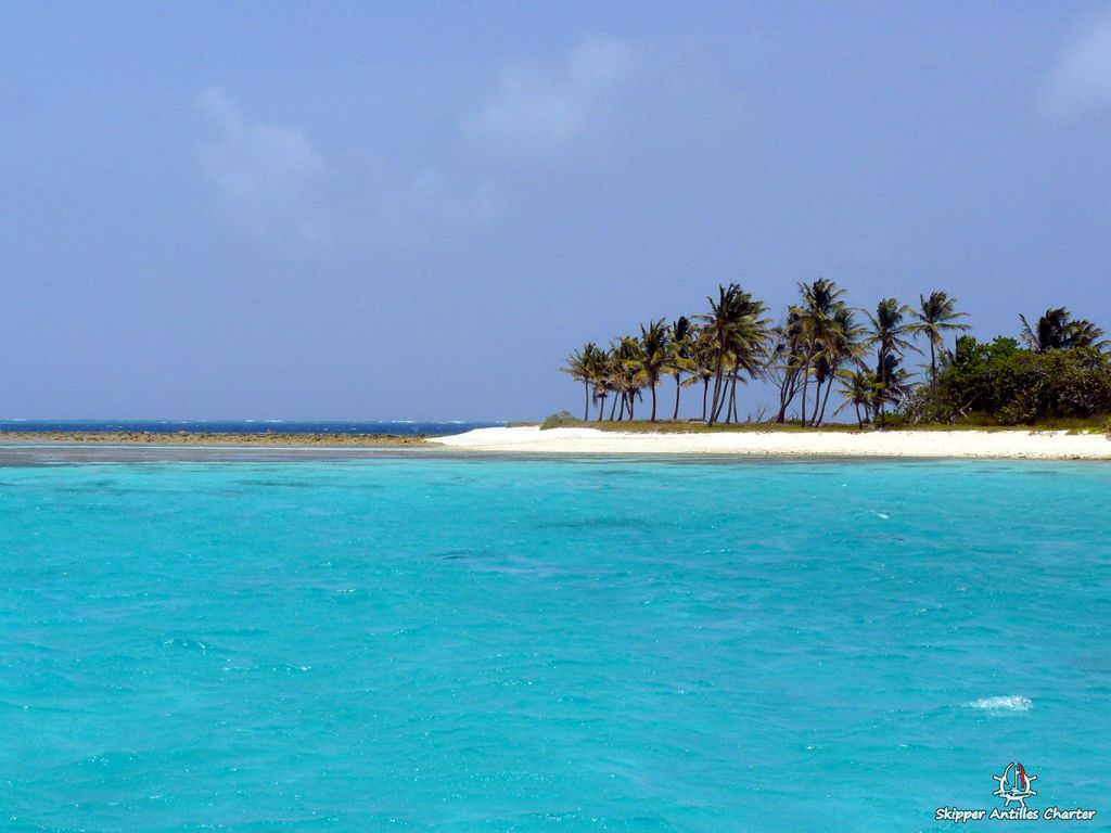 Croisière Grenadines Tobago Cays