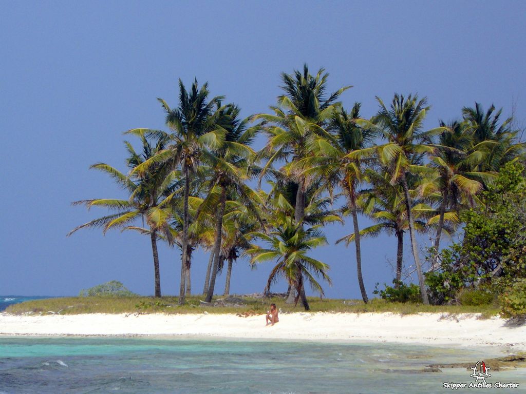 Croisière Grenadines Tobago Cays