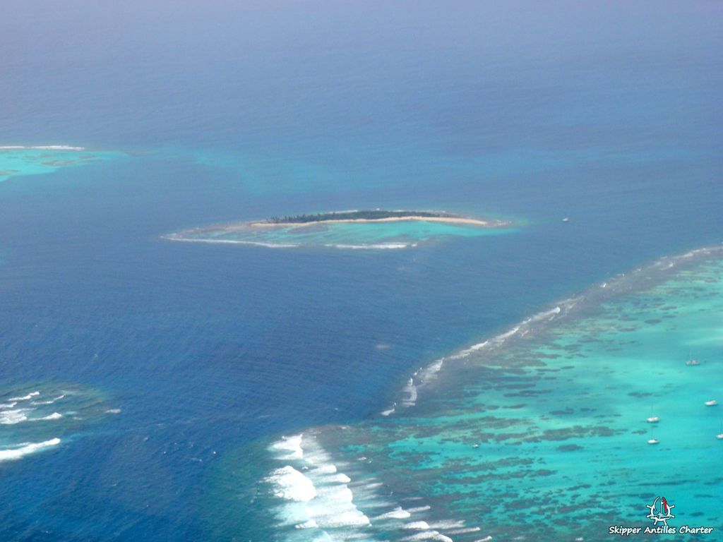 Croisière Grenadines Tobago Cays