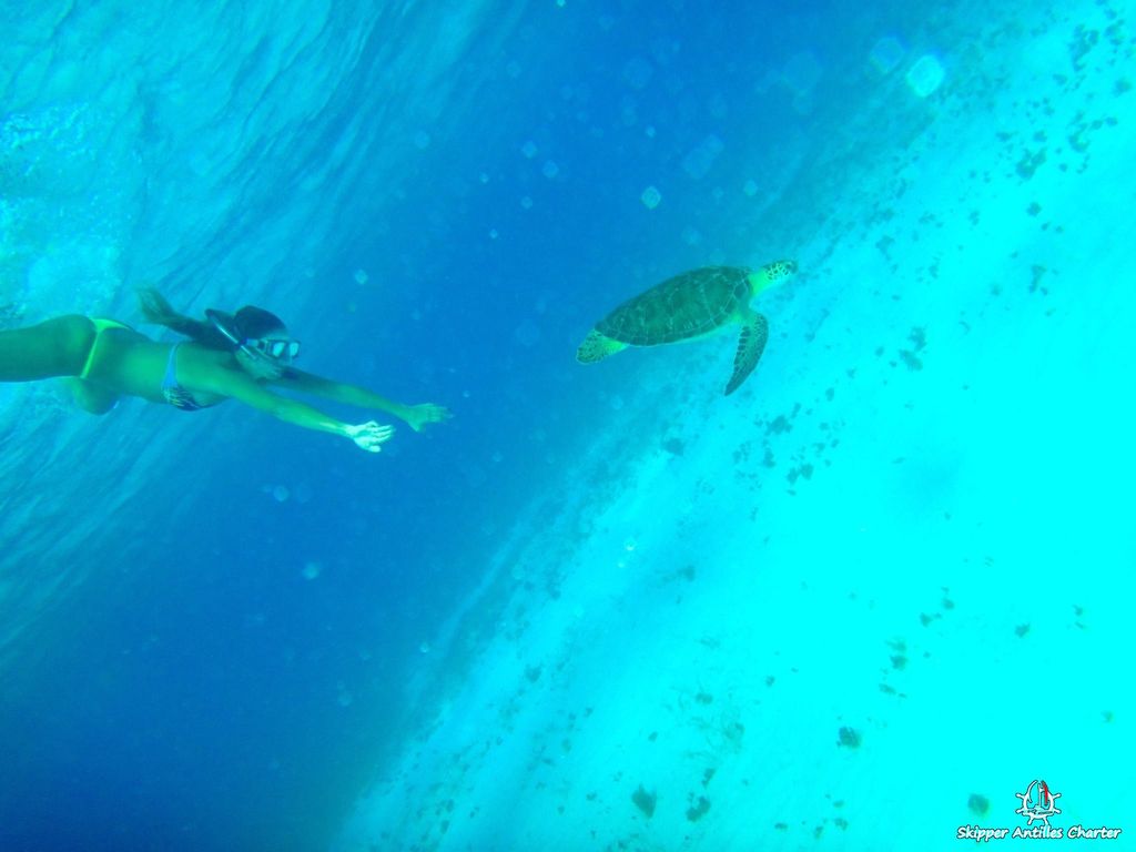 Location Catamaran Grenadines Tobago Cays