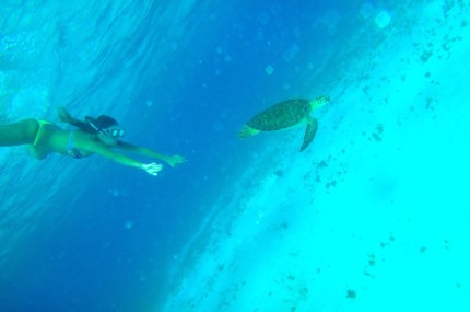 location catamaran guadeloupe avec skipper